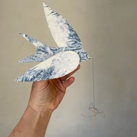 Image 2 of Elles évoluent, gracieuses 