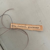 Image 3 of Elles évoluent, gracieuses 