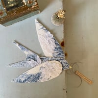 Image 1 of Elles évoluent, gracieuses 