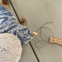 Image 4 of Elles évoluent, gracieuses 