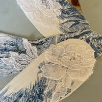 Image 5 of Elles évoluent, gracieuses 