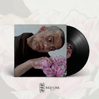 Birds In Row - "Gris Klein" LP (UK Import)