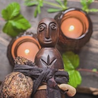 Image 2 of Irish Bog Yew Kindred Spirit (KS167)