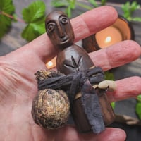 Image 4 of Irish Bog Yew Kindred Spirit (KS167)