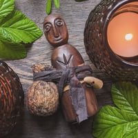 Image 1 of Irish Bog Yew Kindred Spirit (KS167)