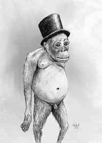 Monkey in a Tophat