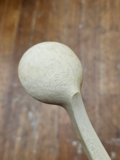 Image of Sycamore Ladybeetle Scoop 