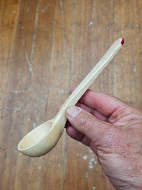 Image of Sycamore Ladybeetle Scoop 