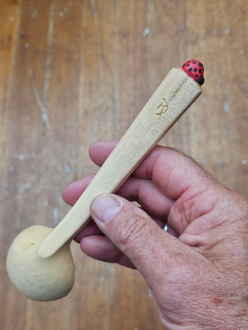 Image of Sycamore Ladybeetle Scoop 