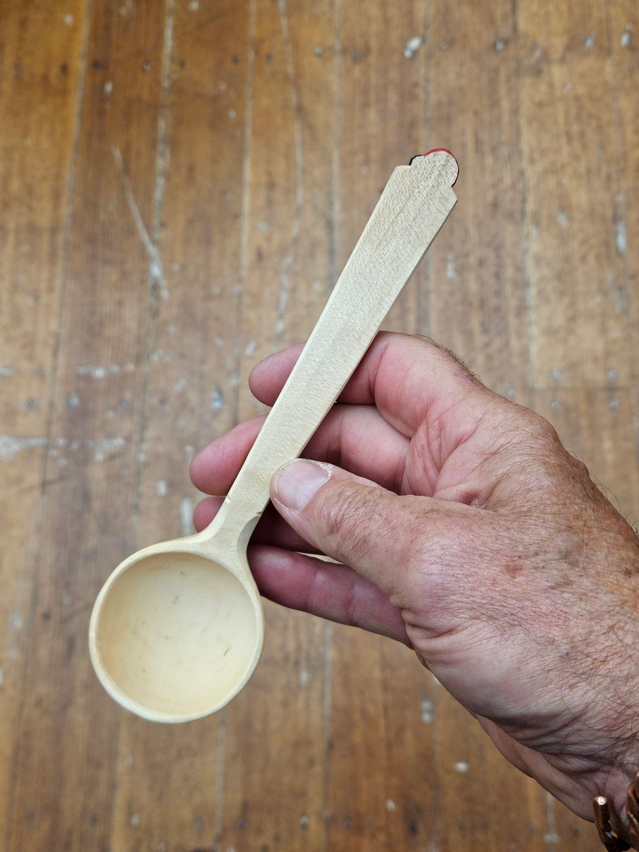 Image of Sycamore Ladybeetle Scoop 