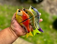 Image 1 of Doo baby gill glide 