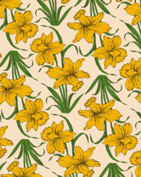 Image 2 of Desired in Daffodil