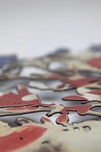 Image 2 of Common Elder