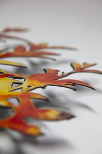 Image 2 of Birdcherry