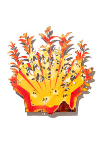 Image 1 of Birdcherry