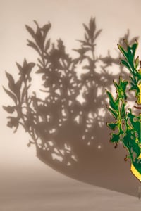 Image 3 of Blackthorn