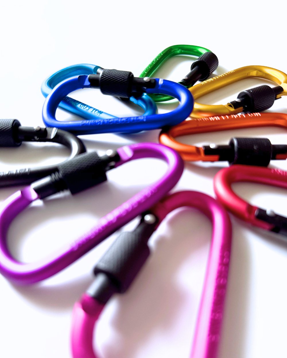 Image of Big Carabiner