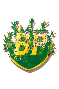 Image 1 of Blackthorn