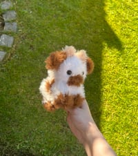 Image 1 of Baby Chocolate Cow