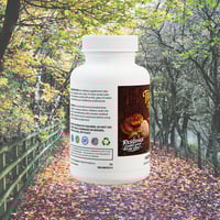 Image 2 of "Trailhead Tonic" Mushroom Blend Supplement (60 Capsules)