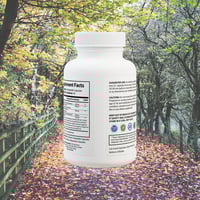 Image 4 of "Trailhead Tonic" Mushroom Blend Supplement (60 Capsules)