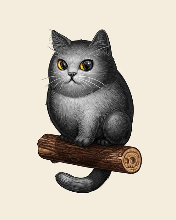 Image of Gatito Gordito I - Chartreux
