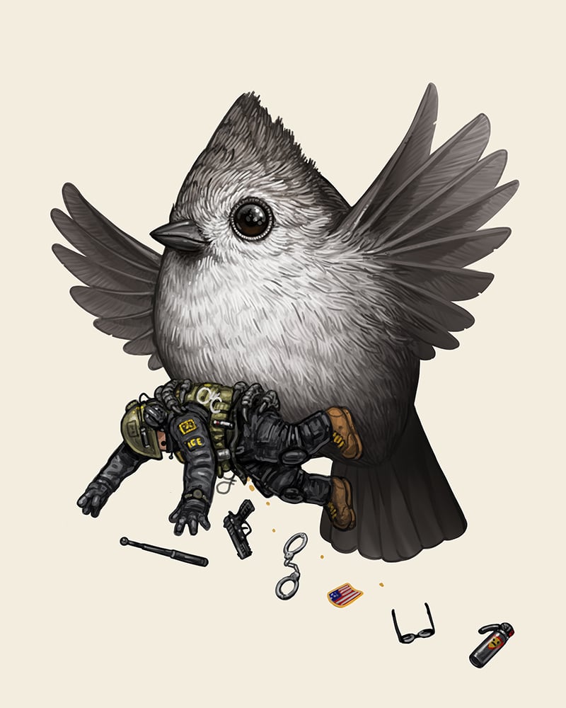 Image of Oak Titmouse (Companion)