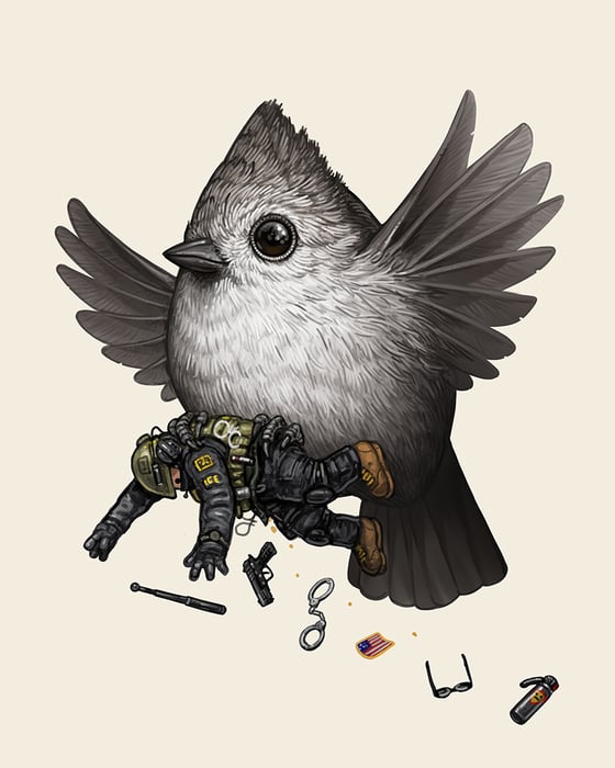 Image of Oak Titmouse (Companion)