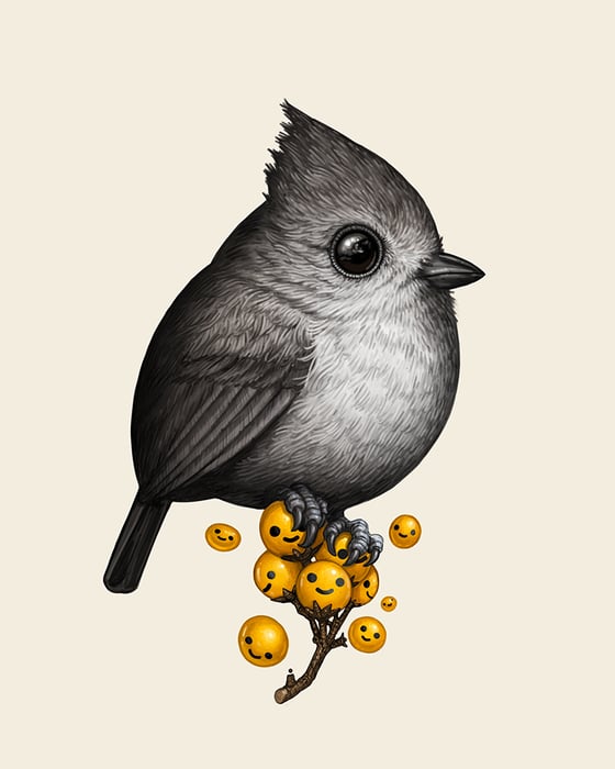 Image of Oak Titmouse 