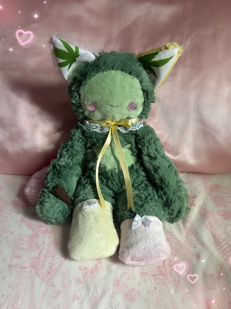 Image of puff the kitty 