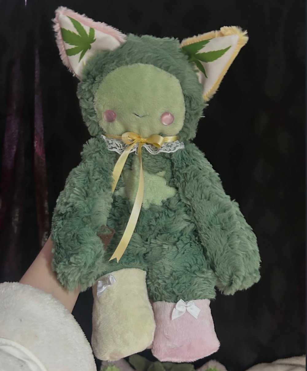 Image of puff the kitty 