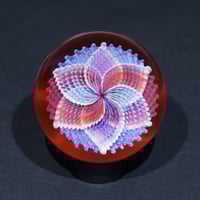 Image 1 of Petal Aura