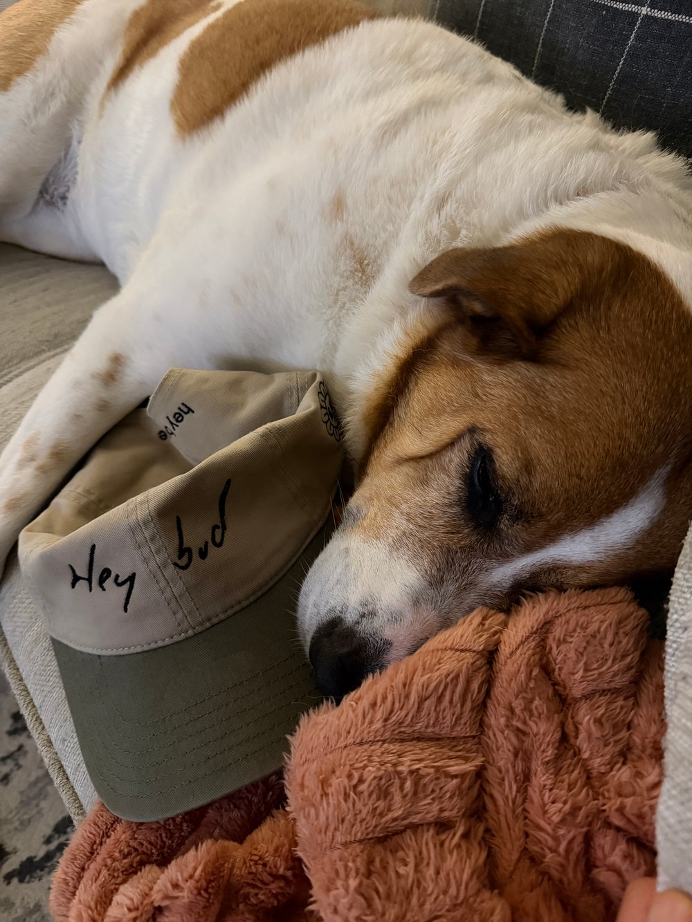 Image of Dad hat Dad Hat  ***Preoder***