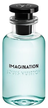 Louis Vuttion Imagination