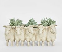 Image 2 of Grazer Sheep Planter