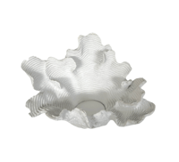 Clam Wall Candle Holder