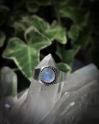 Image 1 of Wide band circle moonstone 