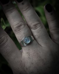 Image 4 of Wide band circle moonstone 