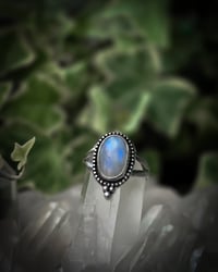 Image 1 of Double band oval moonstone 