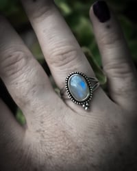 Image 4 of Double band oval moonstone 