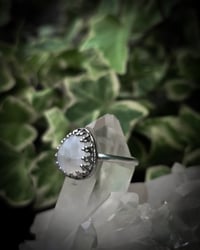 Image 3 of Triangle moonstone 