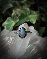 Image 1 of Tear drop moonstone 