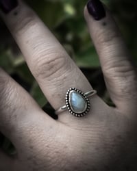 Image 4 of Tear drop moonstone 