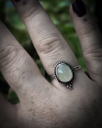 Image 4 of Oval moonstone 