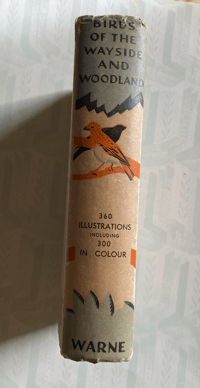 Image 4 of Birds Of The Wayside And Woodland