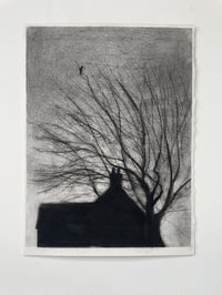 Image 2 of Rooftops 2 ' Lonely Jackdaw'