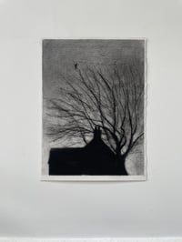 Image 1 of Rooftops 2 ' Lonely Jackdaw'