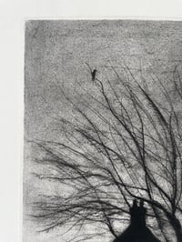 Image 3 of Rooftops 2 ' Lonely Jackdaw'