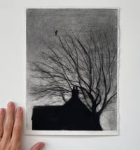 Image 5 of Rooftops 2 ' Lonely Jackdaw'