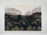 Image 4 of Almost Spring